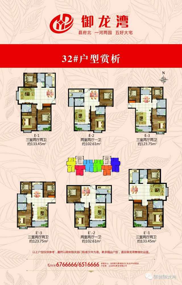 郓城统汇·凤凰城e22室2厅1卫102.61m05户型图-菏泽